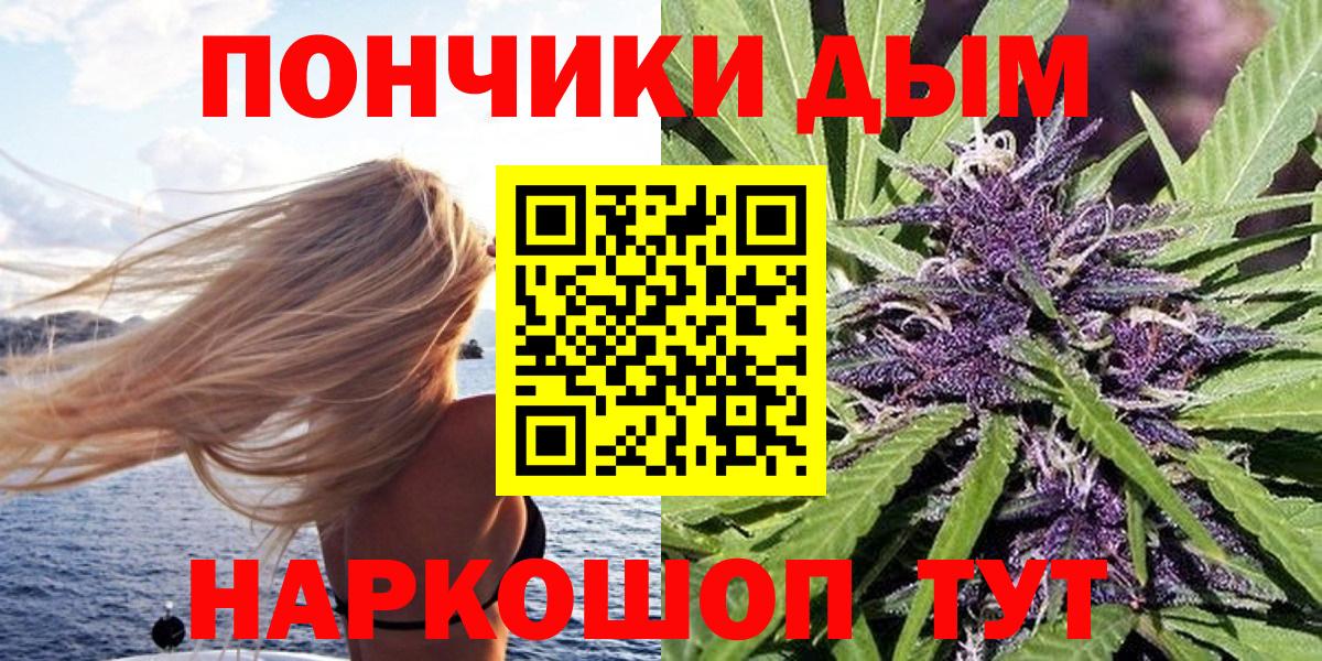 Бошки Шишки планчик Елизово